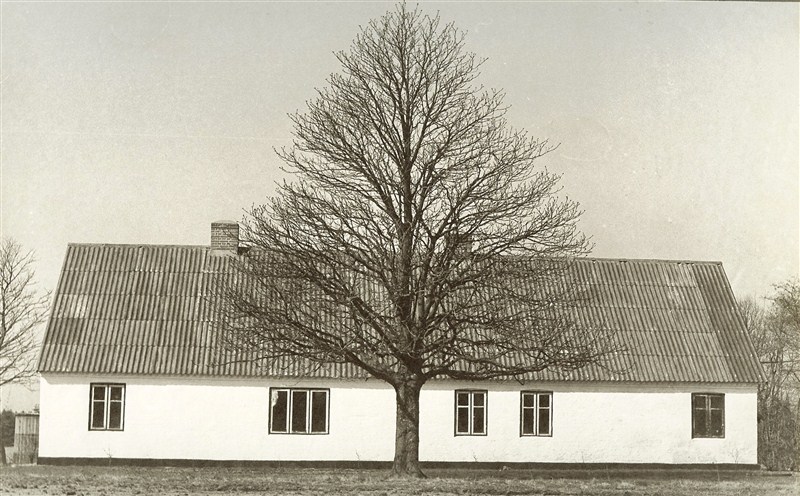 Stuehuset fra 1850 set fra øst med kastanjetræet plantet i 1904  (oc fot 1971)